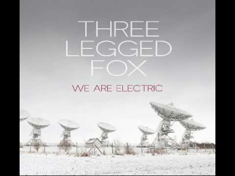 Three Legged Fox - All The Lights