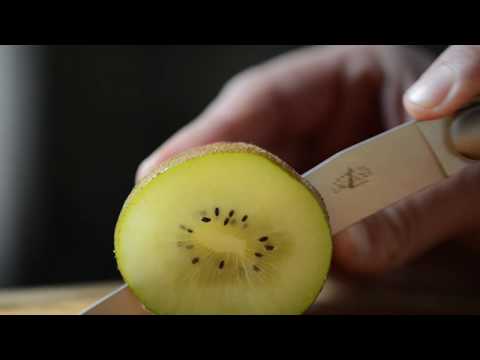 The Cut - Forge de Laguiole