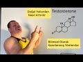 Testosterone Doğal Yollardan Nasıl Artırlır ( Bilimsel Olaral Kanıtlanmış Yöntemler )