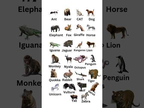 A to Z: Animal Names #shorts
