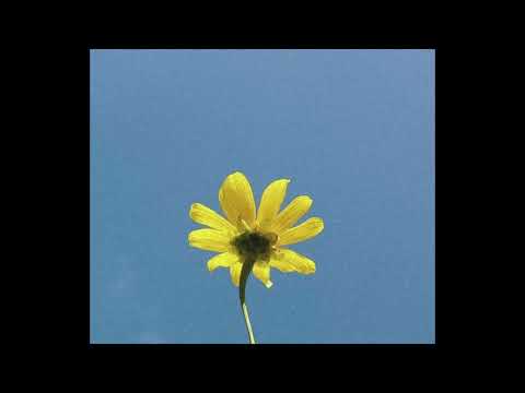 [FREE] rxseboy x powfu lofi type beat - "reason to love"