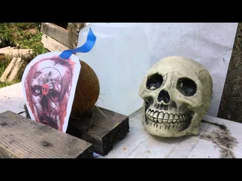 32acp (Keltec P32) through a coconut zombie head - Penetration Test