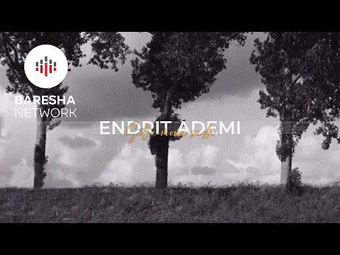 Endrit Ademi - Sot e mora vesh