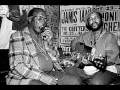 Sonny Terry & Brownie McGee - Midnight Special