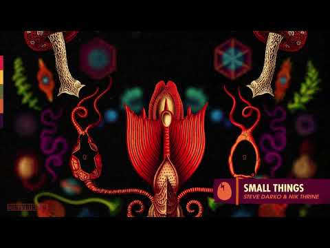 Steve Darko - Small Things [DIRTYBIRD]