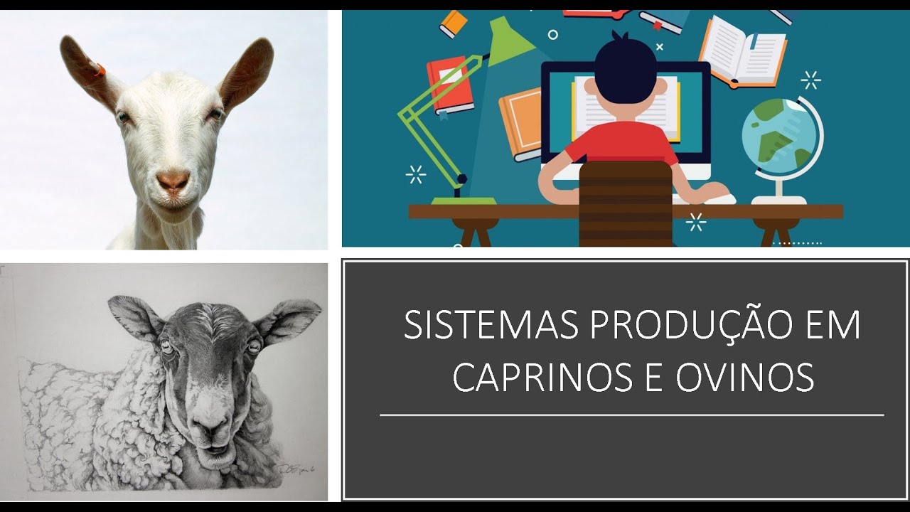 Sistema de produção em caprinos e ovinos