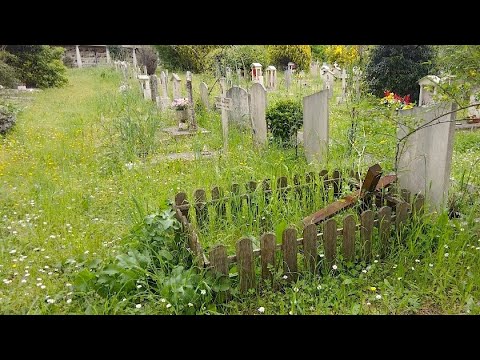 A Roma più di mille bare in attesa. E degrado cimiteriale