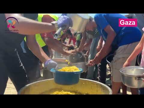 Giving Tuesday Support for Gaza Meals