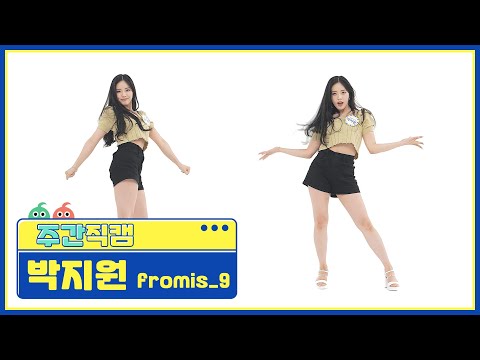 아이콘