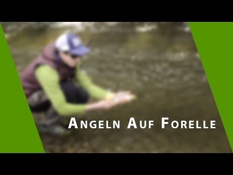 Spinnangeln auf Forellen - am Bach