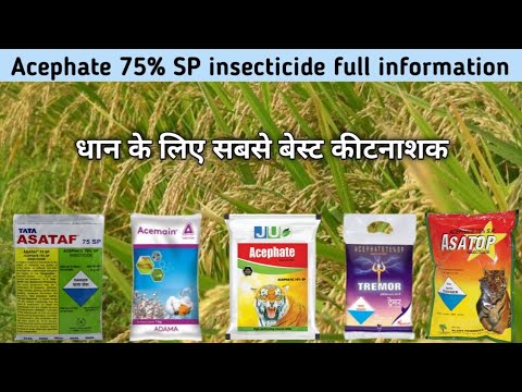 Acephate 75 Sp Insecticide