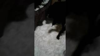 Thunder and lightning