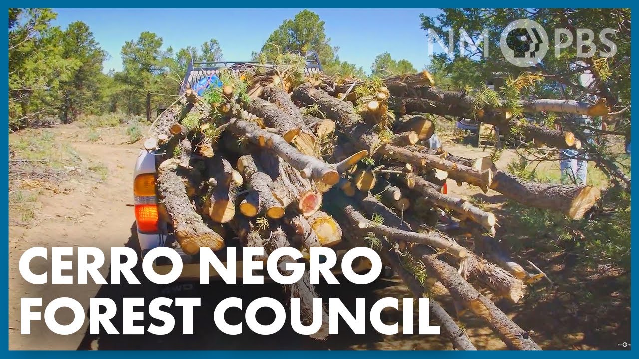 Community-Based Forest Management in Northern New Mexico | Our Land
