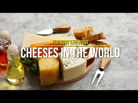 10 Most Expensive Cheese
