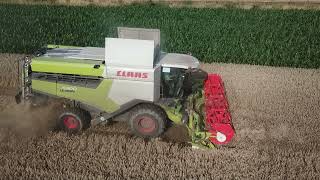 Landbouwwerken Baillien | Graan dorsen | CLAAS Lexion 5300