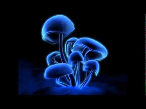 Le Bask   Asylum  hard tech  son de teuf