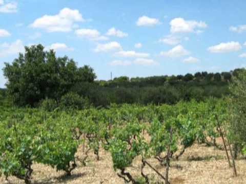 Klapa Jadrija - Iz toverne pisma zvoni