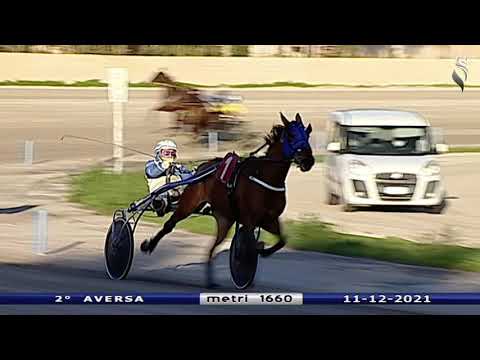 Aversa trotto 11 Dicembre 2021 - 2° Corsa