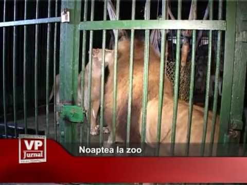 Noaptea la zoo