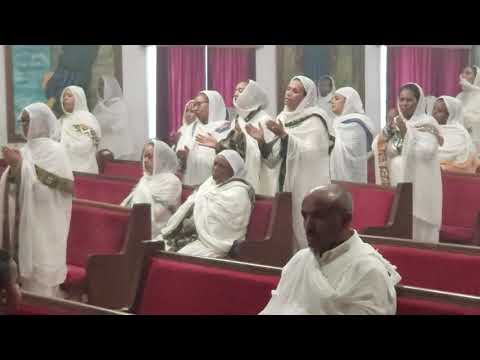 ኃይልነ ወጸወንነ