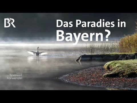 Wohnen im Allgäu: Was schätzen die Menschen an diesem Ort? | Zwischen Spessart und Karwendel | BR