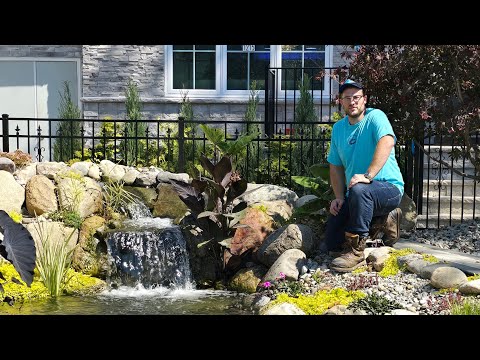 Transforming Landscapes Into Paradise – Kiamesha Ponds Shows Us Two Stunning Koi Ponds in Lakewood