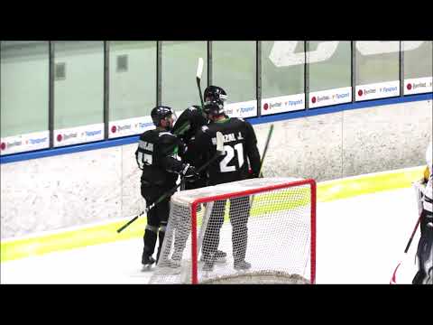 Dva góly Martina Hanzala (Střelci J.Hradec - HC Samson ČB 3:9) 2021-22