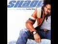 Shaggy - Get My Party On 