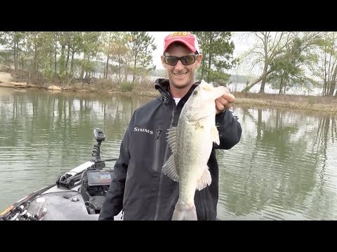 2019 Bassmaster Elite at Lake Hartwell