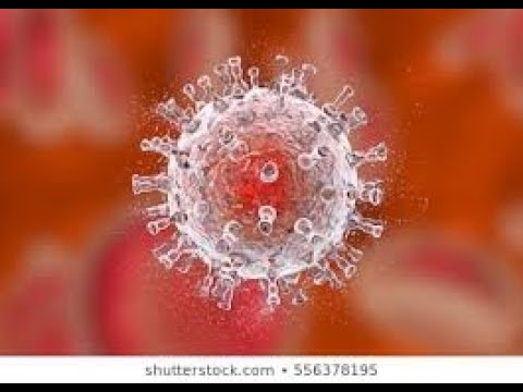 az emberi papillomavírus patogenezise