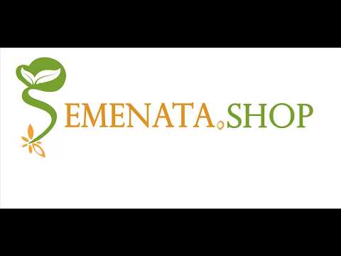 Семена на корнишони екселсиор Excelsior F1