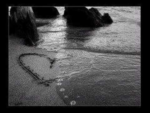 Rafido D Fly als een Voqel