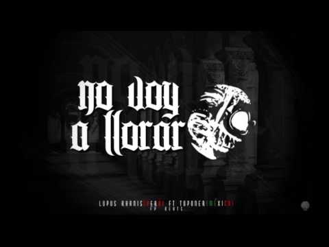 NO VOY A LLORAR -  LUPUS KHANIS ft TOPONER
