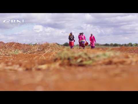 Witness21  2017 04 29