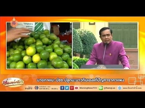 น้ำอัญชันมะนาว