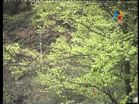 Manastire Luncanii de Sus-Jud Timis-Via Sacra-Televiziunea Romana