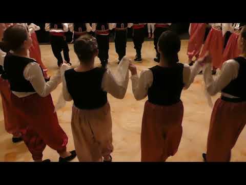 Proslava 8 Marta Grupa Bosanski Behar