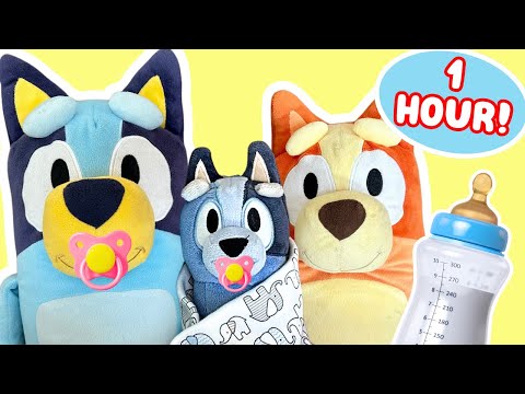 Bluey Baby Toy Episodes!  1 Hour Special!