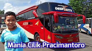 Download lagu bus penguasa terminal pracimantoro wonogiri mp3