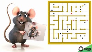 Rat Run Sudoku: Marty Sears Is Surely Trolling!!