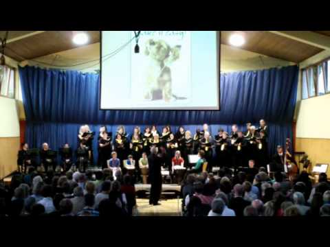 Take it easy boy, boy