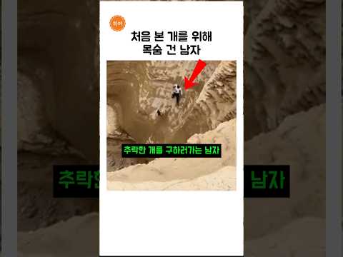 강아지를 구하러 맨몸으로 내려간 진짜 영웅 #강아지 #반려견