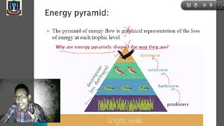 Class 11 Environmental Science Topic:  Ecology contd..