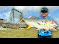 Fishing for GIANT Jack Crevalle at a FLOODGATE!