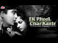 Sunil Dutt Superhit Film Ek Phool Char Kante | Ek Phool Char Kante Superhit Hindi Movie | Sunil Dutt