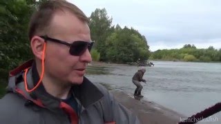 Ссылка