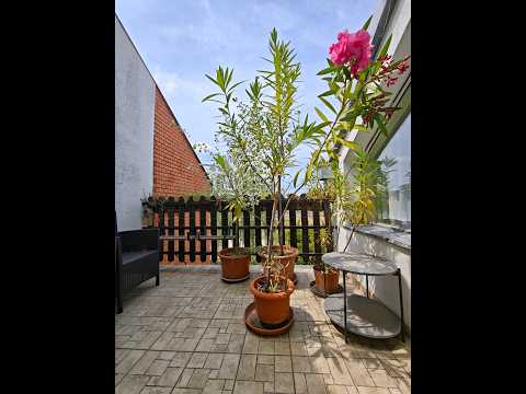 Eladó téglalakás, Szentes 5 szoba 176 m² 69.9 M Ft