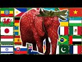 Strawberry Elephant In 70 Languages Meme