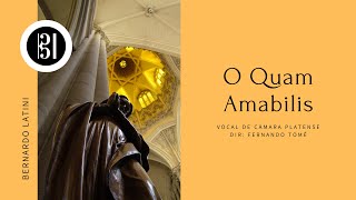 Nuevo video: "O Quam Amabilis"