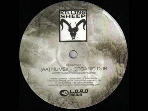 Dj Numek - Organic Dub